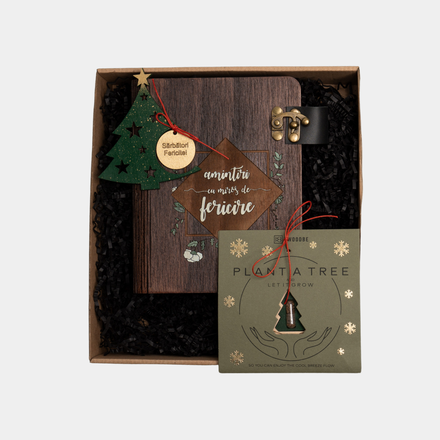 PACHET CADOU CRĂCIUN, album foto, glob plantabil, decoratiune Brad