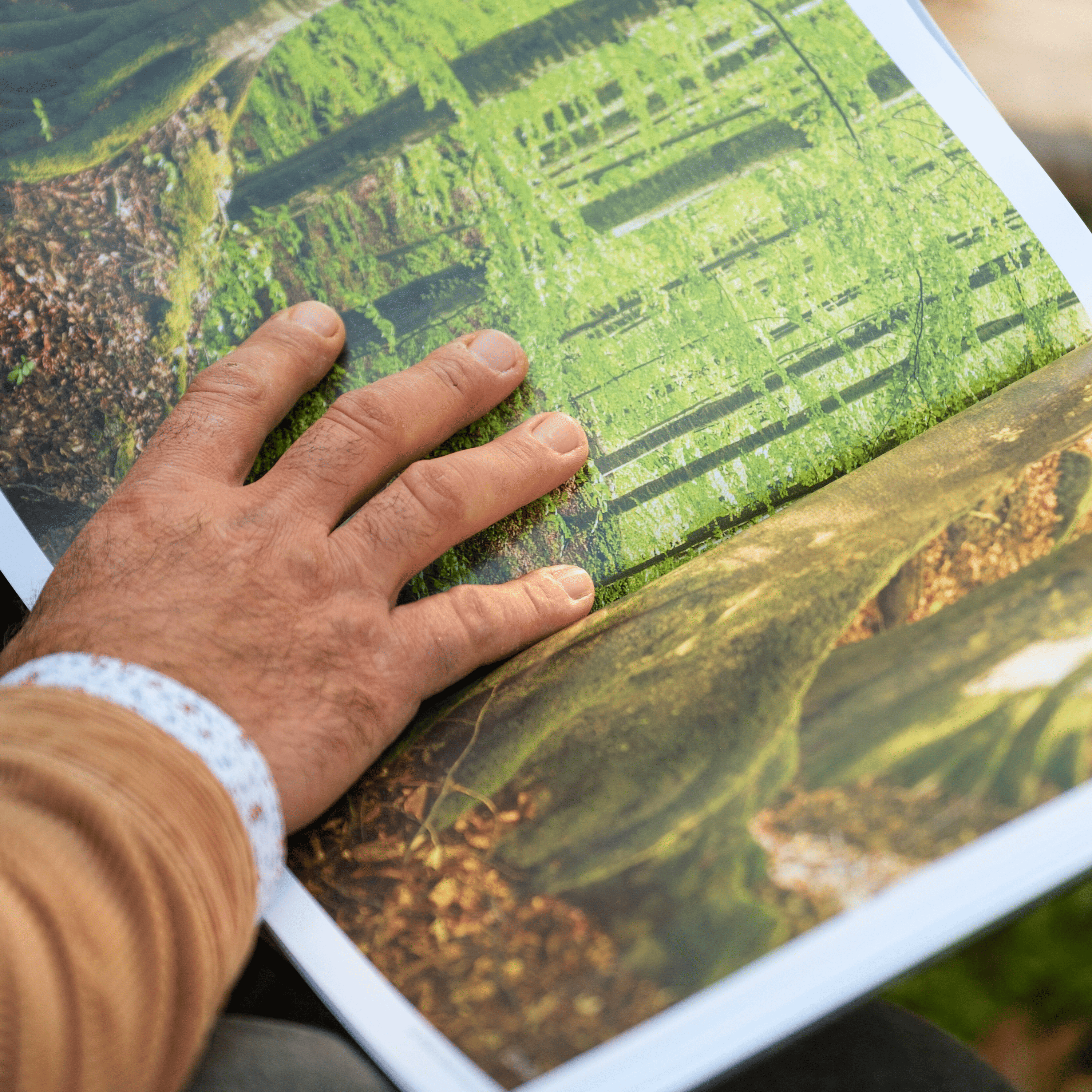 Pachet „Un munte de vise”: album foto Munții Făgăraș printat + agendă lemn